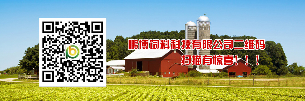 鵬博二維碼，掃描有驚喜！